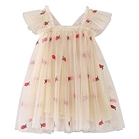 Summer Dresses Layered Tulle Tutu Dress for Toddler Girls,Baby Girl Rainbow Tutu Princess Skirt Butterfly Wings Dress