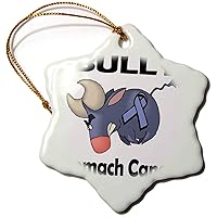 3dRose Bully Stomach Cancer Awareness Ribbon Cause Design - Ornaments (orn-114364-1)