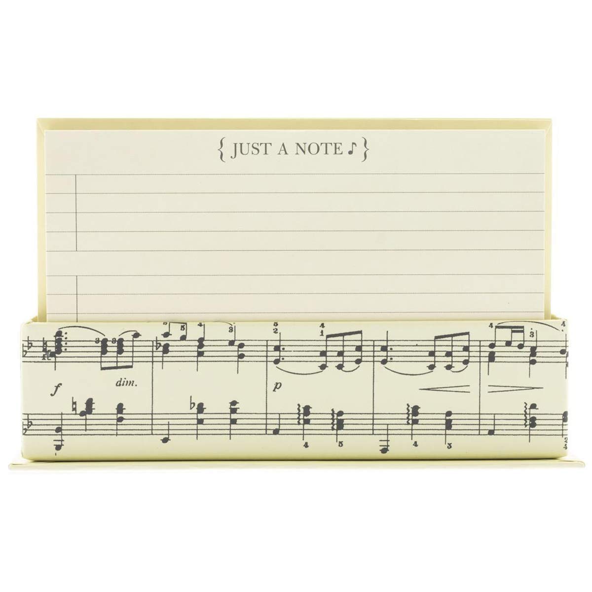 Graphique Flat Note Cards - Musical Stationery Cards with Matching Envelopes and Display Box - Blank Decorative Cards Make Perfect Gifts for Music Lovers - 50 Pack (NT1155MB)