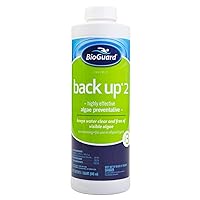 BioGuard Back Up 2-1 Quart, Single, Proven Effective Algae Preventative, Non-Staining, Keeps Water Clean and Clear