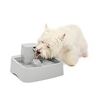 PetSafe Drinkwell Cat Water Fountain - Automatic Dog Water Bowl - Great for Multiple Pets - Pump and Water Filter Included - Dishwasher Safe - Easy Clean - Dish Dispenser - 1 Gallon/128 oz