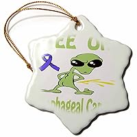 3dRose Super Funny Peeing Alien Supporting Causes for Esophageal Cancer - Ornaments (orn-120684-1)
