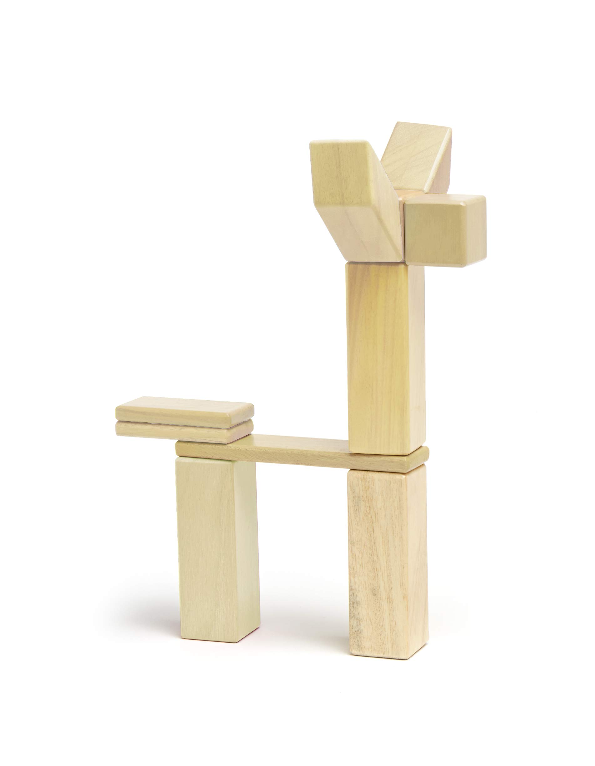 24 Piece Tegu Magnetic Wooden Block Set, Natural