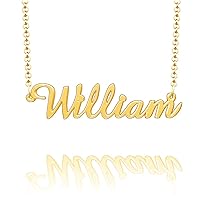 Personalized Last Name Necklace Custom Sterling Silver William Plate Customized Gift for Family