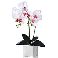 Artificial Potted Orchid Faux Phalaenopsis Silk Flowers Bonsai Realistic Arrangement in Silver Vase for Home Decoration Table Centerpiece, White