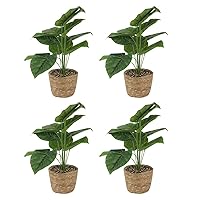 GIA 4 Pack Artistically Recreated Artificial Tropical Foliage Potted Plant with Natural Woven Planter, Green