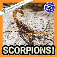Scorpions!: A My Incredible World Picture Book for Children (My Incredible World: Nature and Animal Picture Books for Children) Scorpions!: A My Incredible World Picture Book for Children (My Incredible World: Nature and Animal Picture Books for Children) Paperback Kindle