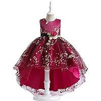 Mesh floral print fairy princess dress girls' trailing evening dress performance skirt bubble skirt