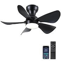 Mpayel Ceiling Fan with Lighting