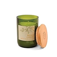 Paddywax Scented Candles Eco Green Artisan Candle in Recycled Vessel, 8-Ounce, Meyer Lemon