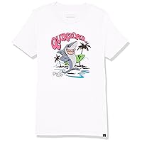 Quiksilver Boys' Washed Out Tee