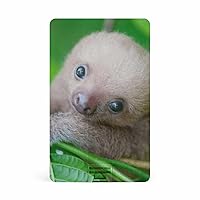 Sloth Card USB 2.0 Flash Drive 8G/64G Credit Card Thumb Drive Memory Stick Business Gift