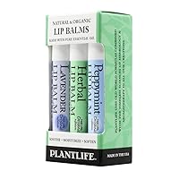 Plantlife Herbal Lip Balm 3 pack - We Blend the Finest Olive Oil with Organic Beeswax to Create the Most Soothing Lip Balm - Made in California