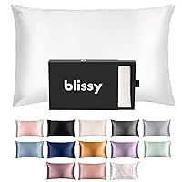Blissy Silk Pillowcase - 100% Pure Mulberry Silk - 22 Momme 6A High-Grade Fibers - Silk Pillow Cover for Hair & Skin - Regular, Queen & King with Hidden Zipper (King, White)