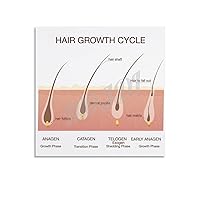 MOJDI Human Hair Growth Cycle Guide Poster 4 Canvas Painting Posters And Prints Wall Art Pictures for Living Room Bedroom Decor 16x16inch(40x40cm) Unframe-style