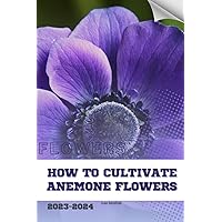 How to Cultivate Anemone Flowers: Become flowers expert
