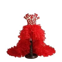 Ruffles Lace Girls Pageant Dresses High Low Short Sleeves for Weddings Prom Formal Party Dress for Toddle Girls