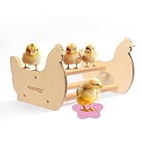 Chicken Perch, Chicken Roosting Bars with Mirror, Wooden Training Chicken Perch for Baby Chicks Hens, Chicken Toys, Chicken Toys for Coop, Chicken Coop Accessories (Small)