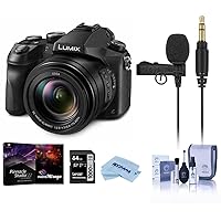 Panasonic Lumix DMC-FZ2500 Digital Point and Shoot Camera - Bundle with Rode Microphones Lavalier GO Professional-Grade Microphone, 64GB SDXC Card, Cleaning Kit, Microfiber Cloth, Pro Software Pack
