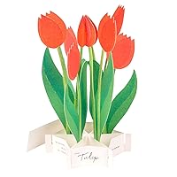 GreetingLife Greeting Life Blooming Card Tulip KE-36