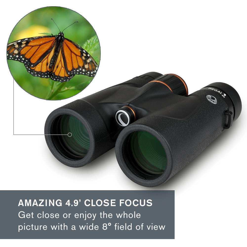 Celestron – Regal ED 10x42 Binocular – ED Binoculars for Hunting, Birding and Outdoor Actvities – Phase and Dielectric Coated BaK-4 Prisms – Fully Multi-Coated Optics – 6.5 Feet Close Focus
