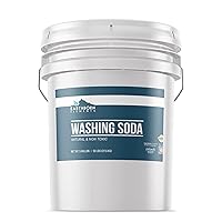Earthborn Elements Washing Soda (5 Gallon), Soda Ash, Sodium Carbonate, Laundry Booster, Non-Toxic, Hypoallergenic