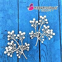 Expressions Craft Designer Frame Cherry Branch Chipboard Cutouts & Embellishments for Greeting Cards, Layouts, Mixed Media, Scrapbooking, Cardmaking, Inviatation Cards & Other DIY Crafts