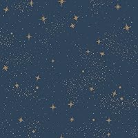 RoomMates RMK11319WP Upon A Star Navy and Metallic Peel and Stick Wallpaper
