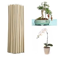 100pcs Bamboo Plant Supports Garden Stakes 7.9inch Plant Stakes Floral Picks for Tomatoes Bean Cucumber Strawberry Climbing