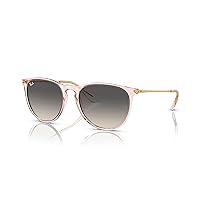 Ray-Ban Rb4171 Erika Round Sunglasses