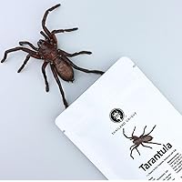 Tarantula Bag - 1 Piece Edible Insect for Human Consumption, Healthy Superfood