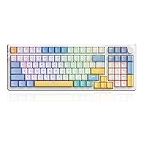NACODEX AK992 99 Key Hot Swappable RGB Custom Gaming Keyboard | 4000mAh Bluetooth /2.4G /Wired PC Gaming Custom Keyboard with Volume Knob | OEM PBT Keycaps (Red Switch)
