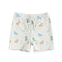 Toddler Baby Boy Swim Trunks Dinosaur Elastic Waist Swim Shorts Quick Dry Beach Board Shorts Bathing Suit Swimwear