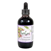 Herb Lore Echinacea Tincture 4 fl oz - Alcohol Free Echinacea Drops - Liquid Immune Support for Kids & Adults * - Echinacea Augustifolia & Echinacea Purpurea Extract