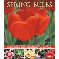 Spring Bulbs: An Illustrated Guide To Varieties, Cultivation And Care, With Step-By-Step Instructions And Over 160 Inspirational Photographs Spring Bulbs: An Illustrated Guide To Varieties, Cultivation And Care, With Step-By-Step Instructions And Over 160 Inspirational Photographs Hardcover