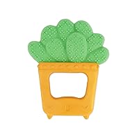 Squeeze & Teethe Succulent - Soft, Easy to Hold, BPA-Free, Natural Rubber Textured Teether for Babies 0M+