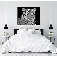 Cute Decals Acrylic Modern Wall Art Black & White Tiger - Black and White Tiger Picture Photo Printing - Tiger Wall Art - Acrylic Wall Art - Modern Interior Design (Mini Wide 12