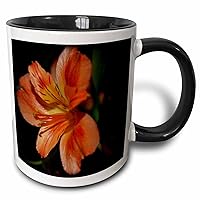 3dRose Beauty of a Tiger Lily is a close up photo of an orange tiger lily - Mugs (mug_211954_4)
