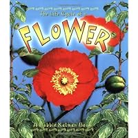 The Life Cycle of a Flower The Life Cycle of a Flower Paperback Library Binding