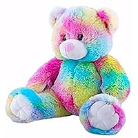 Cuddly Soft 16 inch Stuffed Rainbow Bear - We Stuff 'em...You Love 'em!