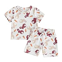 Toddler Baby Boy Easter Outfit Bunny Carrot Short Sleeve T-shirt Top Shorts Set 2Pcs Summer Casual Clothes