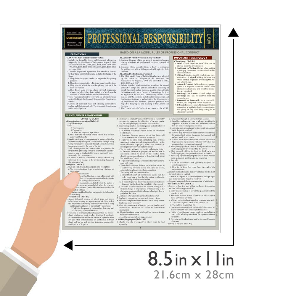 Professional Responsibility: a QuickStudy Laminated Reference Guide (Quickstudy Reference Guide)