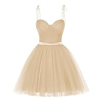 Dessiny Short Homecoming Dress for Teens 2024 Spaghetti Strap Princess Glitter Tulle Short Prom Dress with Pocket DE85