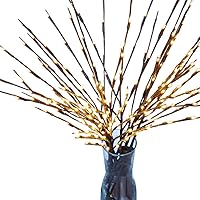 Toxz LED Willow Branch String Lamp Waterproof Floral Lights,for Home/Christmas/Easter/Party/Wedding/Garden Decor,with 20 Bulbs 30 Inches,Warm Light(Ship from US!)