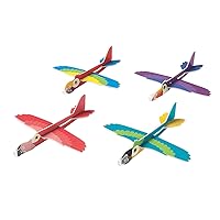 Fun Express Tropical Birds Glider Toys, Bulk 24 Pack - Party Favors and Handouts