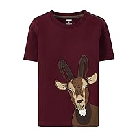 Boys and Toddler Embroidered Graphic Long Sleeve Layered T-Shirts