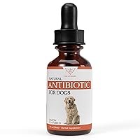 Natural Dog Antibiotics | Antibiotics for Dogs | Helps Support a Healthy Immune System | Supports Dog Allergy Relief | Dog Itch Relief | Dog Multivitamin | Pet Antibiotics | Dog Antibiotic | 1 fl oz