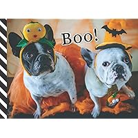 Boo: Halloween Coupon Book / 50 Empty Voucher in Booklet / Fill In Cute Blank Template Designs With Fun Rewards / Funny Black White Dogs in Orange ... / Creative Gift Idea for Kids Tweens Teens
