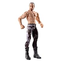 WWE Aiden English Action Figure