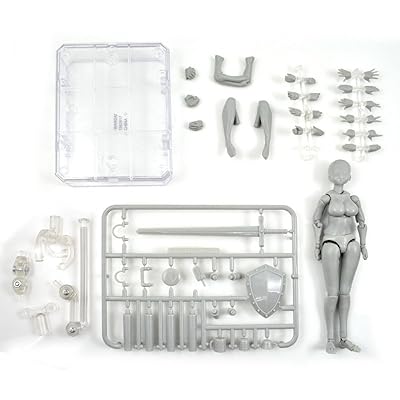 AbbonyDuo Action Figures Body-Kun DX & Body-Chan DX PVC Model SHF(Grey Color Ver) with Box (Female+Male)